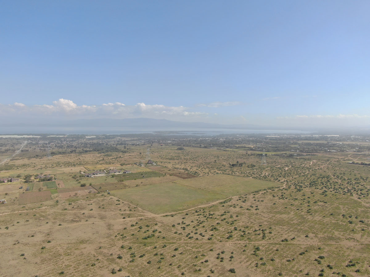 Naivasha Views