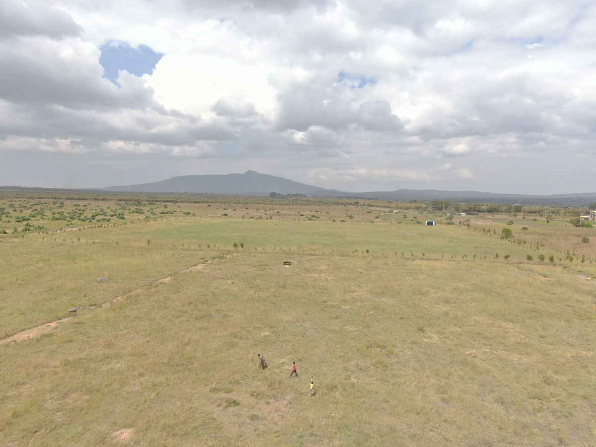 Naivasha Views